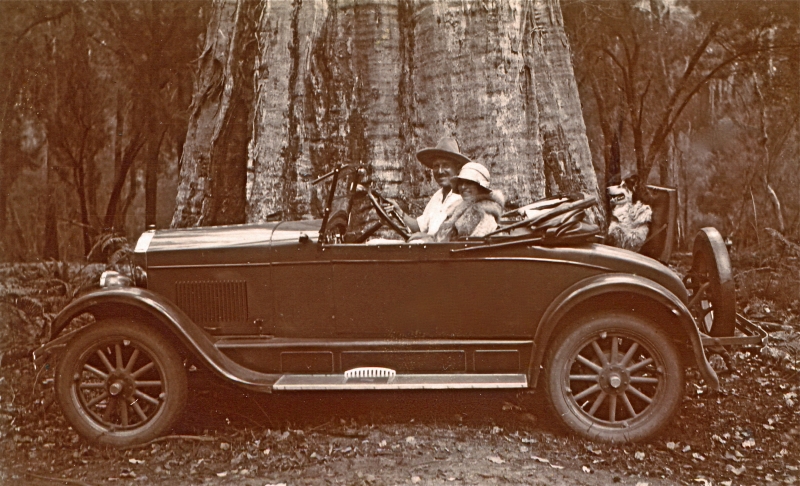 maud arthur in their buick
