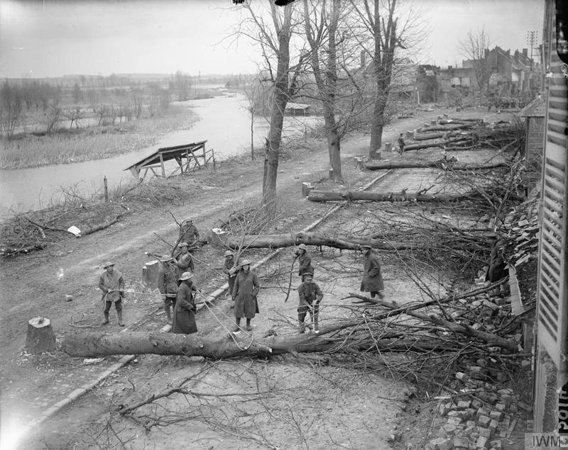 Trees felled by the German troops across the road at Peronne - March 1917  Imperial War Museum image Q5104